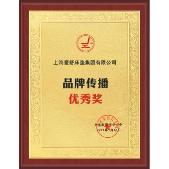 品牌傳播優(yōu)秀獎(jiǎng)